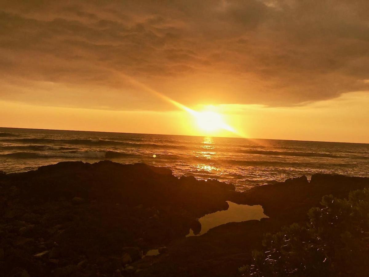 Unwind On Your Fantasy Hawaiian Vacation- 1Bd/1Ba Condo In Kailua-Kona, Hawaii מראה חיצוני תמונה
