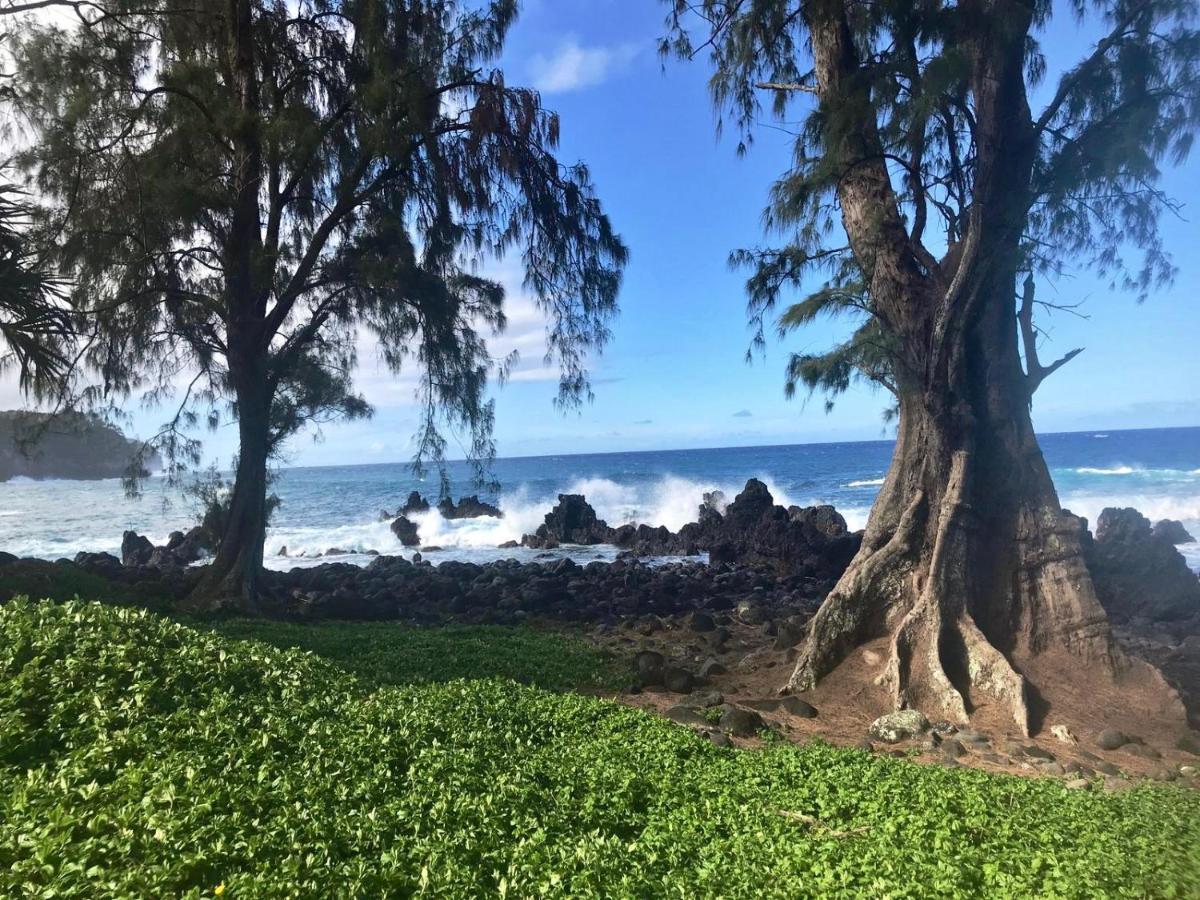 Unwind On Your Fantasy Hawaiian Vacation- 1Bd/1Ba Condo In Kailua-Kona, Hawaii מראה חיצוני תמונה
